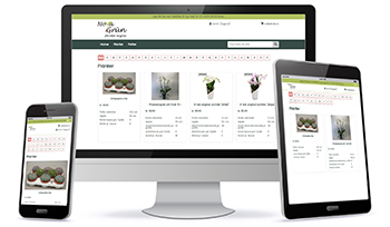 Webshop lijnrijder of bloemengroothandel